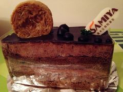 布朗尼-卡萨米亚动物奶油生日蛋糕(牡丹城店)