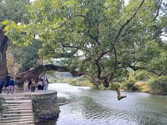 -上坦村