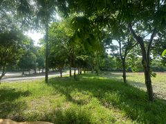 -广富林郊野公园