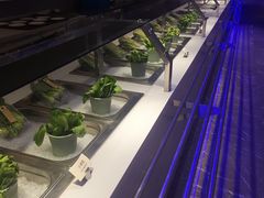-国际青年会议酒店-苏莱斯餐厅