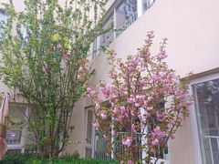 -柠檬国际幼儿园 Bright Academy