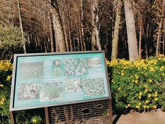 -捞渔河湿地公园