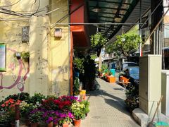 -溪岸路花鸟市场