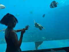 -瑞德姆美人鱼海底演艺主题餐厅(亚龙湾店)