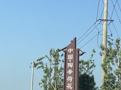 -陶辛水韵