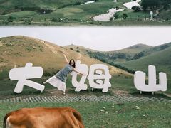 -大姆山草场