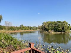 -上海市保健医疗中心