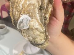 -滨海小渔村·海肠捞饭·鲅鱼水饺·特色老火鱼丸汤(华田店)