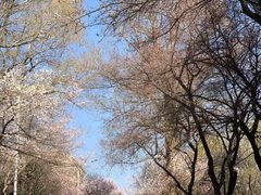 -吉林大学(南岭校区)