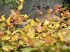 -三鹰之森吉卜力美术馆