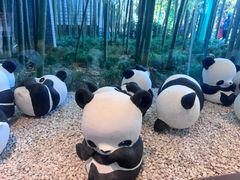 -杭州植物园