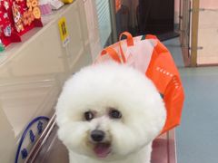 -动物缘宠物医院·骨科·猫科(西二环店)