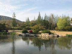 -习家池
