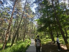 -帽儿山国家森林公园