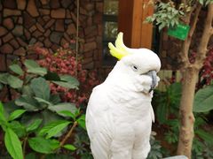 -南宫五洲植物乐园