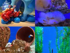 -海合安武汉极地海洋公园