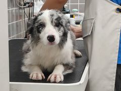 -它主义宠物(梁溪万达店)