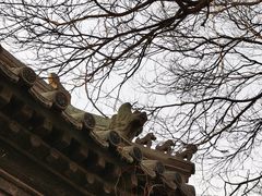 -万松老人塔