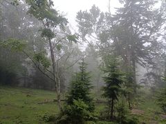 -老秃顶草原景区