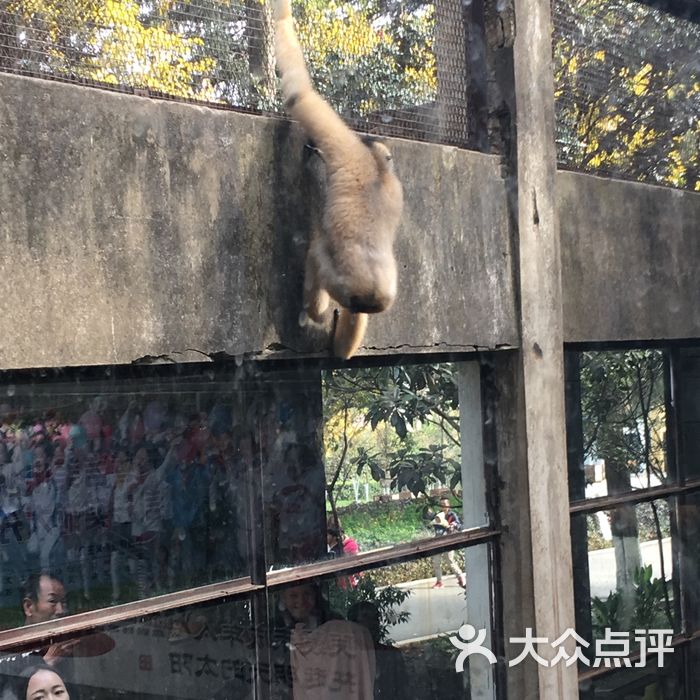 昆明動物園