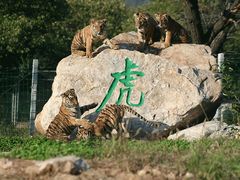 -西安秦岭野生动物园