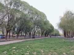 -东坝千亩湖公园