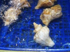 -活泼海鲜烧烤(美食街总店)