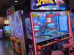 -卡通尼·Safari非洲探索乐园·生日会(金桥国际商业广场店)