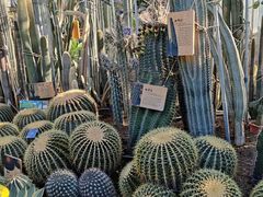 -国家植物园南园