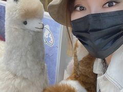 -国药中服免税(北京坊店)