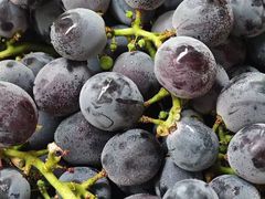 -爱立颂(美莲广场店)