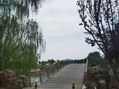-马家湾湿地公园