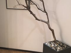 -麦子MaiMassage(打浦桥店)