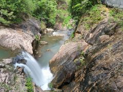 -广州白江湖森林公园