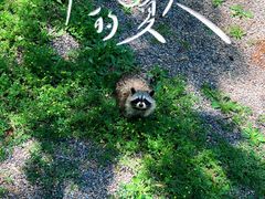 -秦皇岛野生动物园