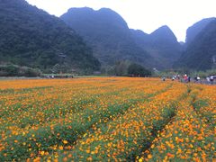 -靖西鹅泉风景区