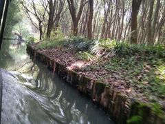 -同里国家湿地公园