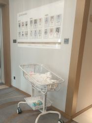 -大美母婴月子中心(希尔顿店)
