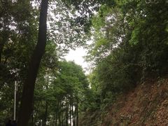 -广州市帽峰山景区