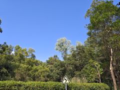 -火炉山森林公园