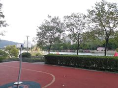 -光明港公园
