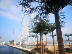 -秦皇岛乐岛海洋王国