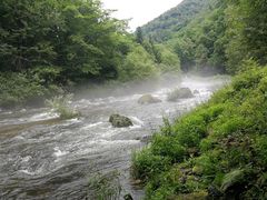 -望天鹅景区