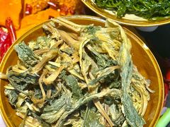 -阳阳老火锅(小南门店)