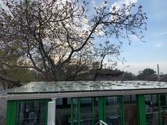 提拉米苏-EATALIA意塔利意式餐厅(鼓楼店)