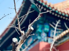 -故宫博物院(故宫)