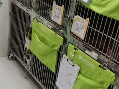 -瑞鹏宠物医院·微创内窥镜·骨外科·牙科(翠竹分院)