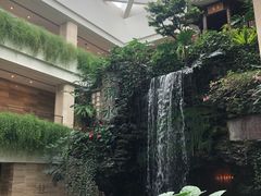 -白天鹅宾馆·流浮阁咖啡厅
