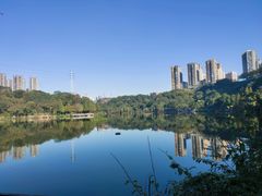 -重庆彩云湖湿地公园