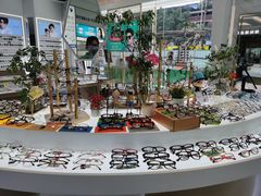 -大光明眼镜(锦华路旗舰店)